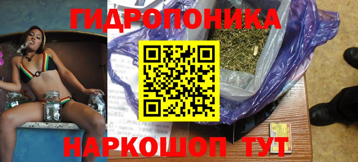 Шишки марихуана гибрид Сосновый Бор